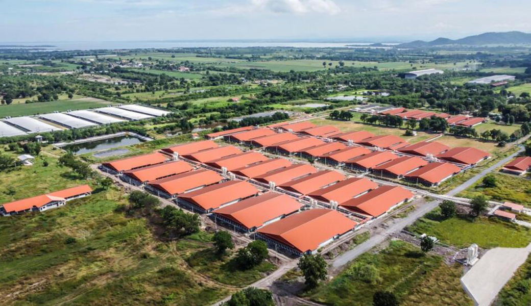 1742450346313390.jpg QQ截图20250320105956.jpg